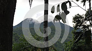 A dramatic foggy mountain peak in SoutheastAsia with tropical plants and trees.