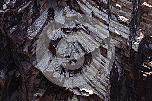 Dramatic hexagonal trachyte columns at fan rock, Yeppoon