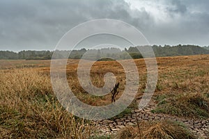Dramatic landscape, late gloomy autumn, agricultural field after harvest with wild grass, cloudy weather with a stormy sky