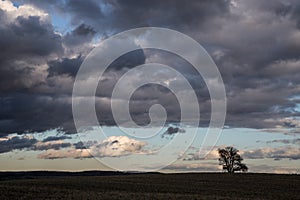 A dramatic landscape with low clouds and a silhouette of a tree