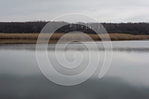 dramatic landscape of reed river with reflection of cloudy sky, early spring