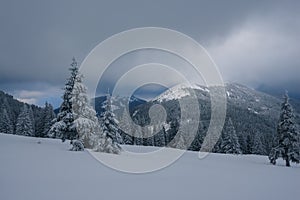 Dramatic landscape - winter evening in the mountains on the eve