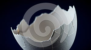 Cracked white eggshell texture on a dark field