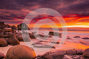 Dramatic midnight sunset with amazing colors over Uttakleiv beach on Lofoten Islands,  Norway