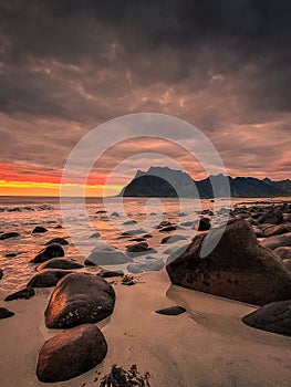 Dramatic midnight sunset with amazing colors over Uttakleiv beach on Lofoten Islands,  Norway