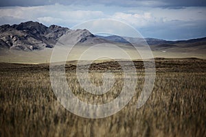 Dramatic Mongolian Grasslands