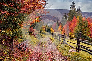 Dramatic morning view of Carpathian countryside. Colorful outdoor scene of mountain village with old country road.