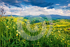 Dramatic morning view of Carpathians with Hoverla and Petros peaks on background.