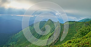 Dramatic mountain landscape on a foggy morning The slopes of Mount Pip Ivan Marmaroshsky in summer