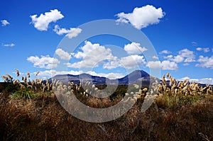 Dramatic mountain landscape - Tongariro Crossing