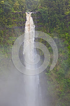 Dramatic, natural, tall waterfall in rain forest