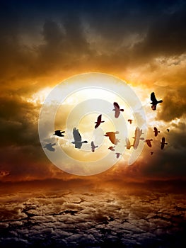 Dramatic nature background