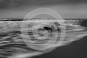 Dramatic nature background - big waves and dark rock in stormy sea, stormy weather. Dramatic scene.