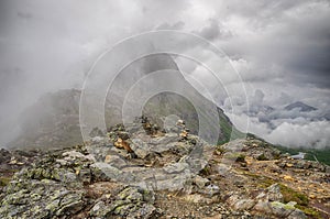 Dramatic norwegian landscape in cold summer