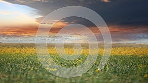 Dramatic  orange night  sky sunset cloudy night  sky white  yellow lilac wild flowers and grass field nature landscape