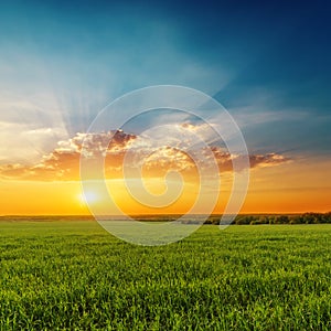 dramatic orange sunset with clouds over green grass field