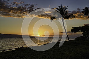 Dramatic palm tree and ocean view from Baby beach on Maui ot to Lanai.