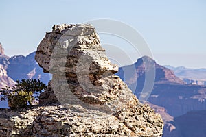 Donald Duck Rock Grand Canyon photo