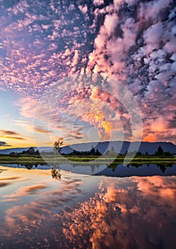 Dramatic Pink Clouds Reflection