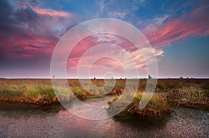 Dramatic pink sunset over bog