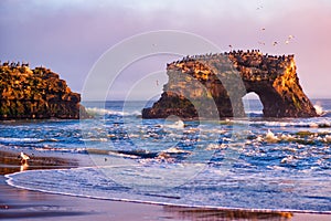 Dramatic pink sunset over Natural Bridges State Beach in Santa Cruz, California, USA. Amazing landscape with natural stone rock