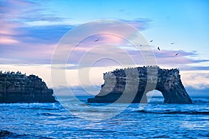 Dramatic pink twilight over Natural Bridges State Beach, Santa Cruz, California, USA. Amazing landscape with natural stone rock