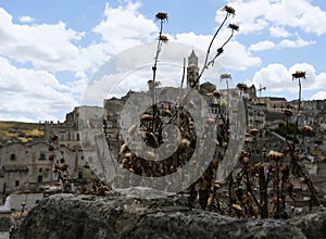 Dramatic poetic view of old italian city