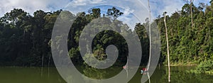 Dramatic rain forest scenic view of a jungle