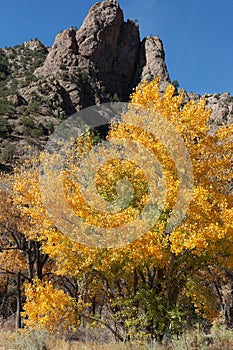 Dramatic Rock Formation with Golden Autumn Tree