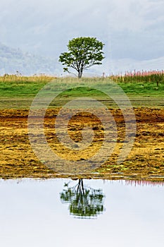 Dramatic scenery at a Scottish sea loch on a cloudy, grey afternoon Loch Duich, Eilean Donan