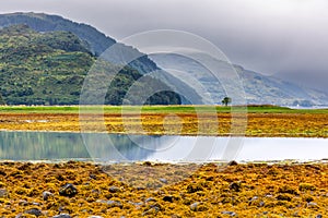 Dramatic scenery at a Scottish sea loch on a cloudy, grey afternoon Loch Duich, Eilean Donan