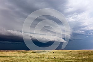 Shelf cloud and severe thunderstorm photo