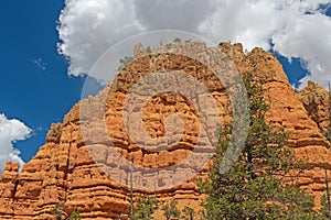 Dramatic Siltstone Layers in Red Canyon