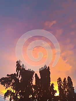 Dramatic sky with clouds and silhouette tree