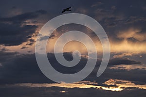 Dramatic sky and clouds at sunset