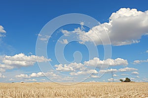 Dramatic sky with cumulus clouds over mown hay. Seasonal autumnal landscape for backgrounds