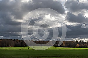 Dramatic sky with dark rain clouds over green agricultural field with tractor tracks in autumn landscape