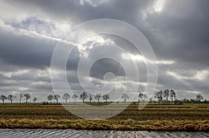 Dramatic sky over a Dutch polder