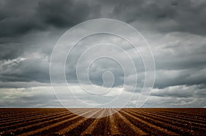 Dramatic sky over a furrowed field