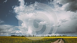 Dramatic Sky With Rain Clouds On Horizon Above Rural Landscape Camola Colza Rapeseed Field. Country Road. Agricultural