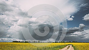 Dramatic Sky With Rain Clouds On Horizon Above Rural Landscape Camola Colza Rapeseed Field. Country Road. Agricultural