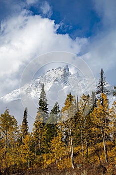 snow capped mountain and autumn foliage in Grand Teton