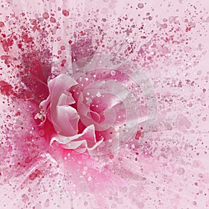 Dramatic splash effect single bright pink rose floral abstract effect image with orange details