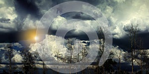 Dramatic storm clouds over a leafless forest