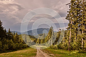 Dramatic, stormy, colorful sky and a forest trail to the Carpathians Mountains in Romania