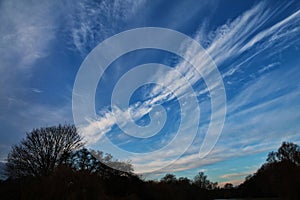 Dramatic streaky sky with thin clouds and tree silhouettes