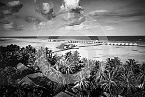 Dramatic summer beach landscape. Luxury vacation and holiday concept, summer travel in black and white