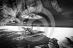 Dramatic summer beach landscape. Luxury vacation and holiday concept, summer travel in black and white