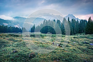 Verano amanecer montana rango sobre el. brumoso manana de dolomita Alpes, Europa 