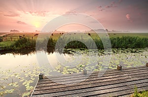 Dramatic sunrise over cow pasture and river